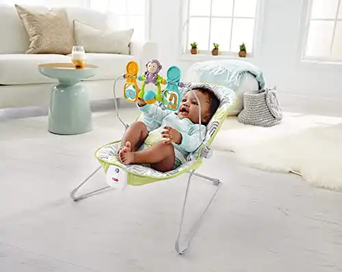 Fisher-Price Baby's Bouncer, Green/Blue/Grey (DTG94)