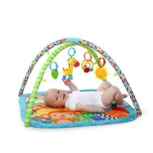 Bright Starts Zippy Zoo Activity Gym